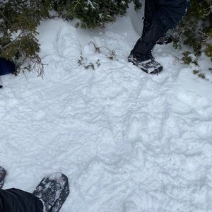 Meet your Posher, Dan